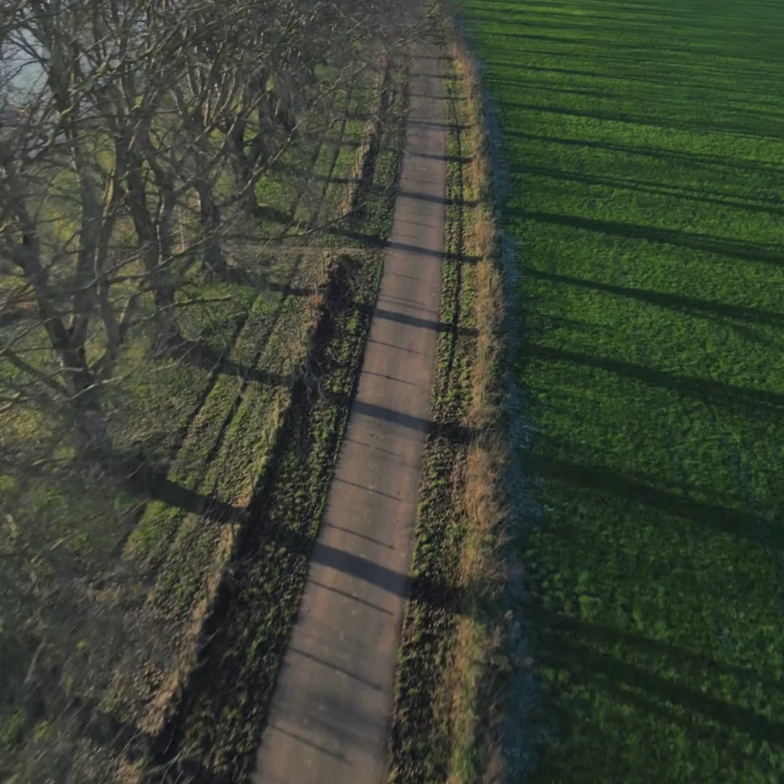 Trescent autoparfum voor ontspanning onderweg